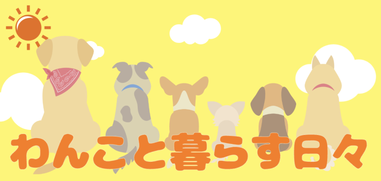 わんこと暮らす日々